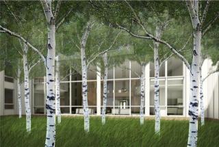 57 Olympia Dr, Amherst MA  01002-3709 exterior