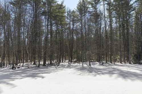 130 Conant Rd, Royalston MA 01331-9758 exterior