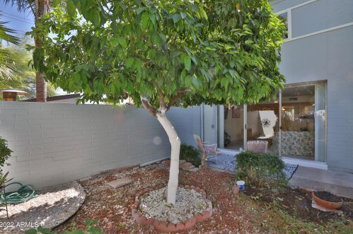 3403 36 Pl, Phoenix AZ 85050-2684 exterior