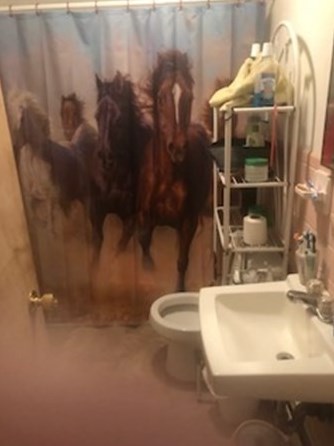 15 Fairfield St, Worcester MA 01602-3469 exterior