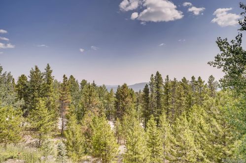 31358 Conifer Mountain Dr, Conifer CO  80433-8818 exterior