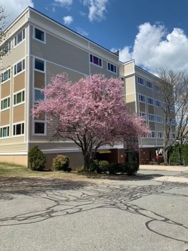 35 Desmoines Rd, Quincy MA 02169-8700 exterior