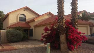 4106 Mountain Sage Dr, Phoenix AZ  85044-6165 exterior