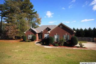 217 Pebblestone Dr, Huntsville AL  35806-1181 exterior