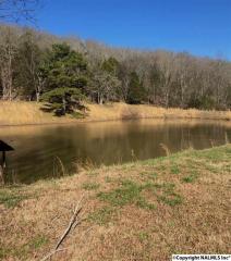 871 Dug Hill Rd, Brownsboro AL  35741-9727 exterior