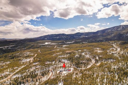 31551 Black Widow Dr, Conifer CO 80433-9614 exterior