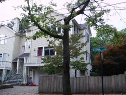 5 Troy Ln, Newton MA  02468-1016 exterior