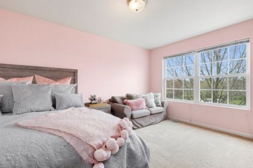 501 Goodwin Dr, Lemont IL 60440-2098 exterior