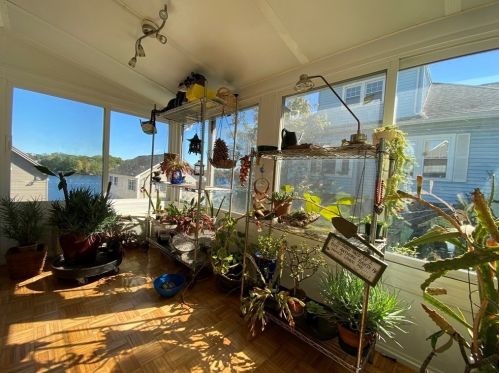 453 Lk Ave, Worcester MA 01604-1366 exterior