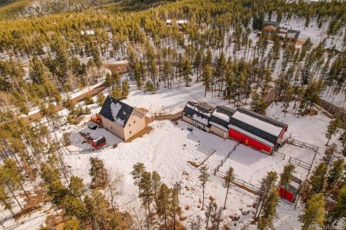 31551 Black Widow Dr, Conifer CO 80433-9614 exterior