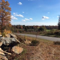 13 Medalist Dr, Rehoboth, MA 02769-1336