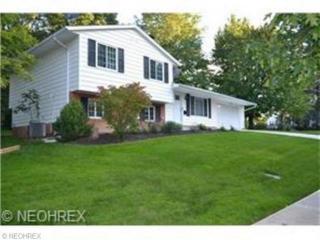 7861 Judy Dr, Cleveland, OH 44134-6567