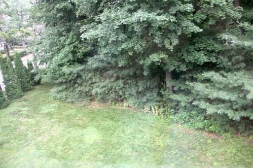 284 Webster St, Newton MA 02466-2106 exterior