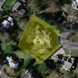 41 Old Farm Rd, Newton MA  02459-3434 aerial view