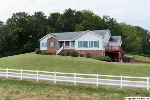 914 County Road 206, Bridgeport AL  35740-7019 exterior