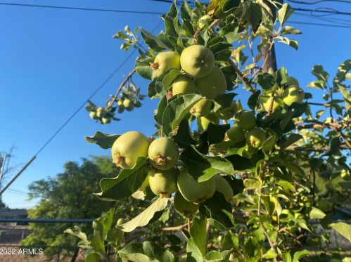 2145 Clarendon Ave, Phoenix AZ 85031-3142 exterior