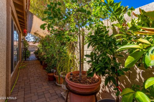 13639 42 Pl, Phoenix AZ 85032-2231 exterior