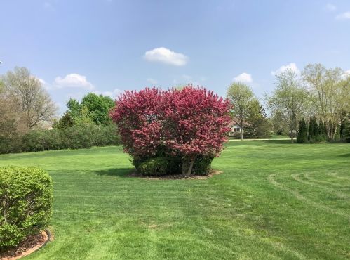 1365 Overton Dr, Lemont IL 60439-8544 exterior