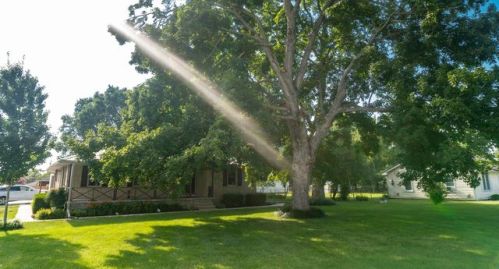 3519 Gale Ln, Hopkinsville KY  42240-5321 exterior