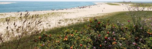 75 Main St, Chatham MA 02633-2419 exterior