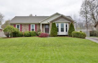 7013 Field View Ct, Louisville, KY 40291-4702