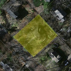 143 Ridge Ave, Newton MA  02459-2507 aerial view