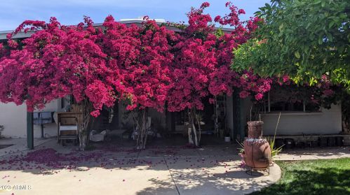 4202 55 Pl, Phoenix AZ exterior