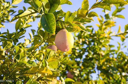 4121 Catalina Dr, Phoenix AZ  85018-7111 exterior