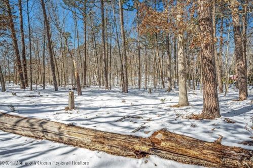 438 Freehold Rd, Jackson Twp NJ 08527-4631 exterior