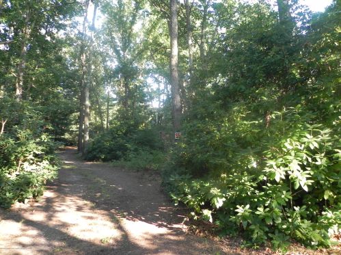 137 Jackson Ml Rd, Jackson Twp NJ 08527-4447 exterior