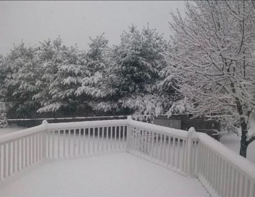 9 Christy Ct, Worcester MA exterior