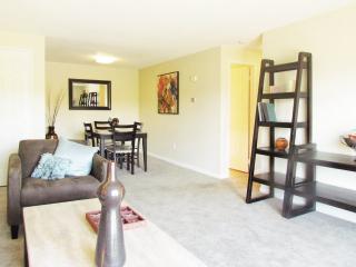 156 Brittany Mnr, Amherst MA  01002-3650 exterior