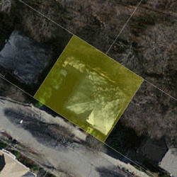 37 Playstead Rd, Newton MA 02458-2124 aerial view