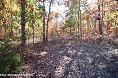 1062 Lakehurst Ave, Jackson Twp NJ 08527-5250 exterior