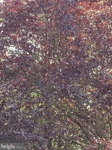 112 Talon Ln, West Deptford NJ 08093-2322 exterior