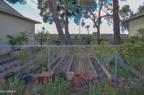 4430 Belleview St, Phoenix AZ 85008-5644 exterior