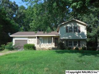 3209 Helena Dr, Huntsville AL  35811-9099 exterior