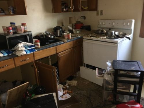 11 Daisy St, Lawrence MA 01841-3035 exterior