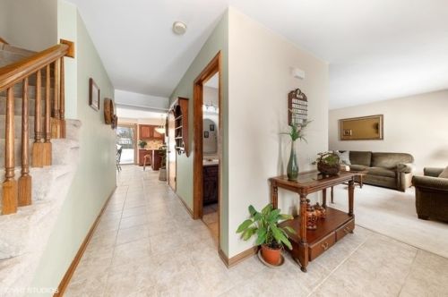 213 Butte View Dr, Lemont, IL 60490-1538