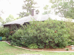 28 Hancock St, Newton, MA 02466-2309