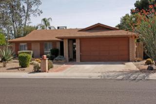 2935 Wagoner Rd, Phoenix, AZ 85032-1169