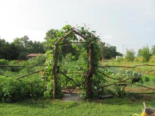 1368 Columbia Hill Rd, Monterey TN  38574-5438 exterior