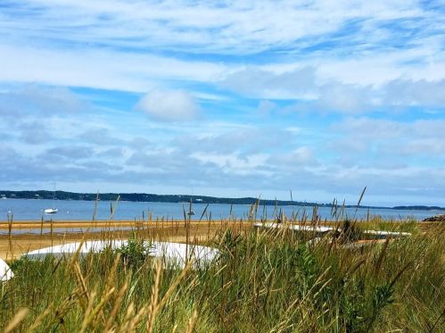 65 Morris Is Rd, Chatham MA 02633-2526 exterior