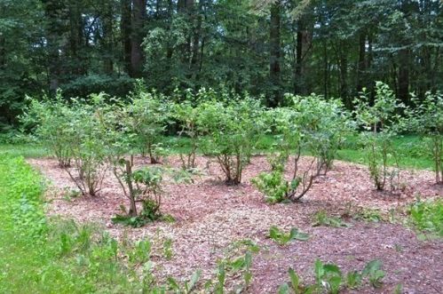 108 Buffam Rd, Amherst MA 01002-9720 exterior