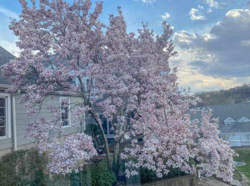 15 Eastern Point Dr, Shrewsbury MA  01545-2174 exterior