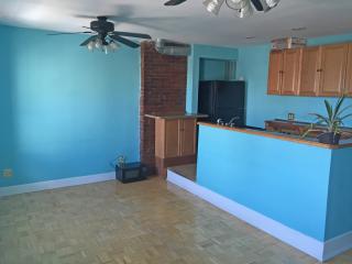 1316 6th St, Philadelphia PA  19147-5833 exterior