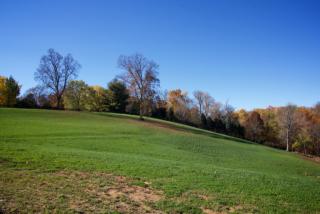 5600 Glenview Falls Pl, Louisville KY  40222-6189 exterior