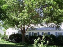 15 Considine Rd, Newton, MA 02459-3603