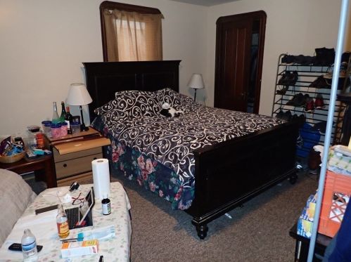 47 Acton St, Worcester MA 01604-4828 exterior