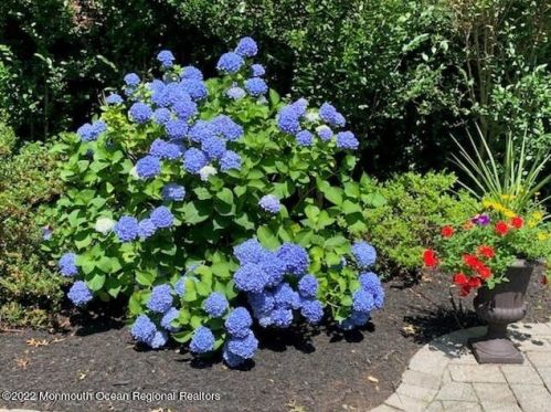 4 Laurel Dr, Little Silver NJ 07739-1416 exterior